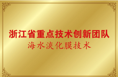 浙江省重点技术创新团队